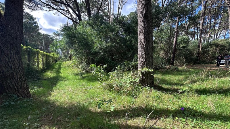 Lote en venta en La Reserva de Montoya